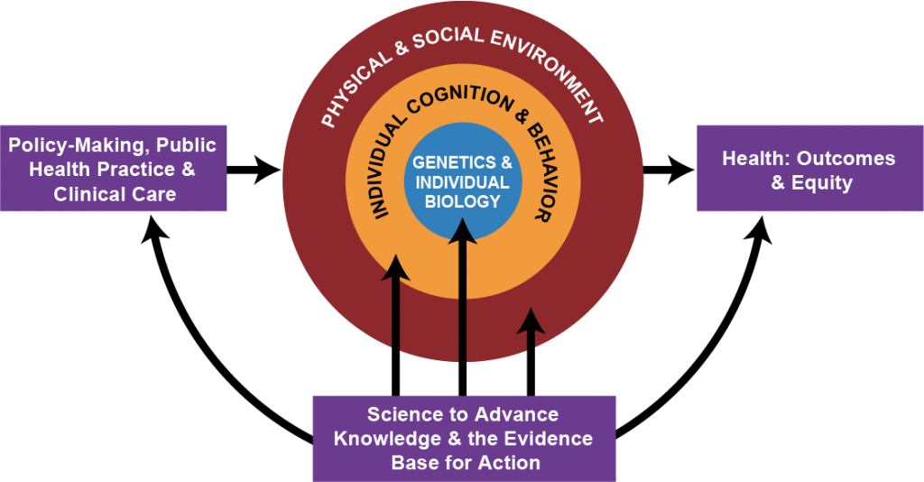 WHAT IS POPULATION HEALTH? – IAPHS – Interdisciplinary Association For ...