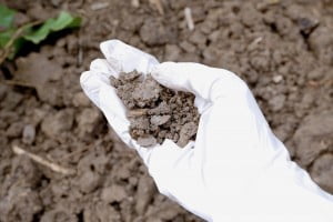 toxic soil white glove
