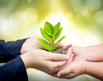 hands nurturing green plant light background